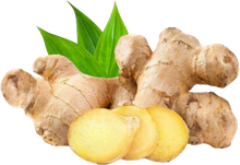 Jahe (ginger)